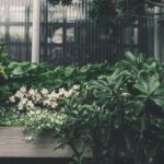 Themed Gardens - Green Plant